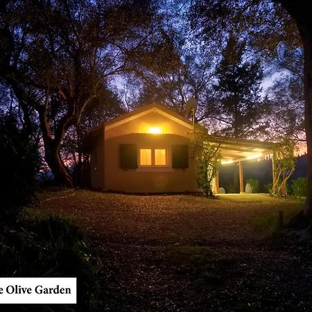 Ferienwohnung House In The Olive Garden Ágios Ioánnis Exterior foto