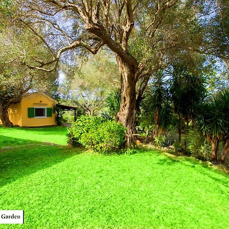 Ferienwohnung House In The Olive Garden Ágios Ioánnis Exterior foto