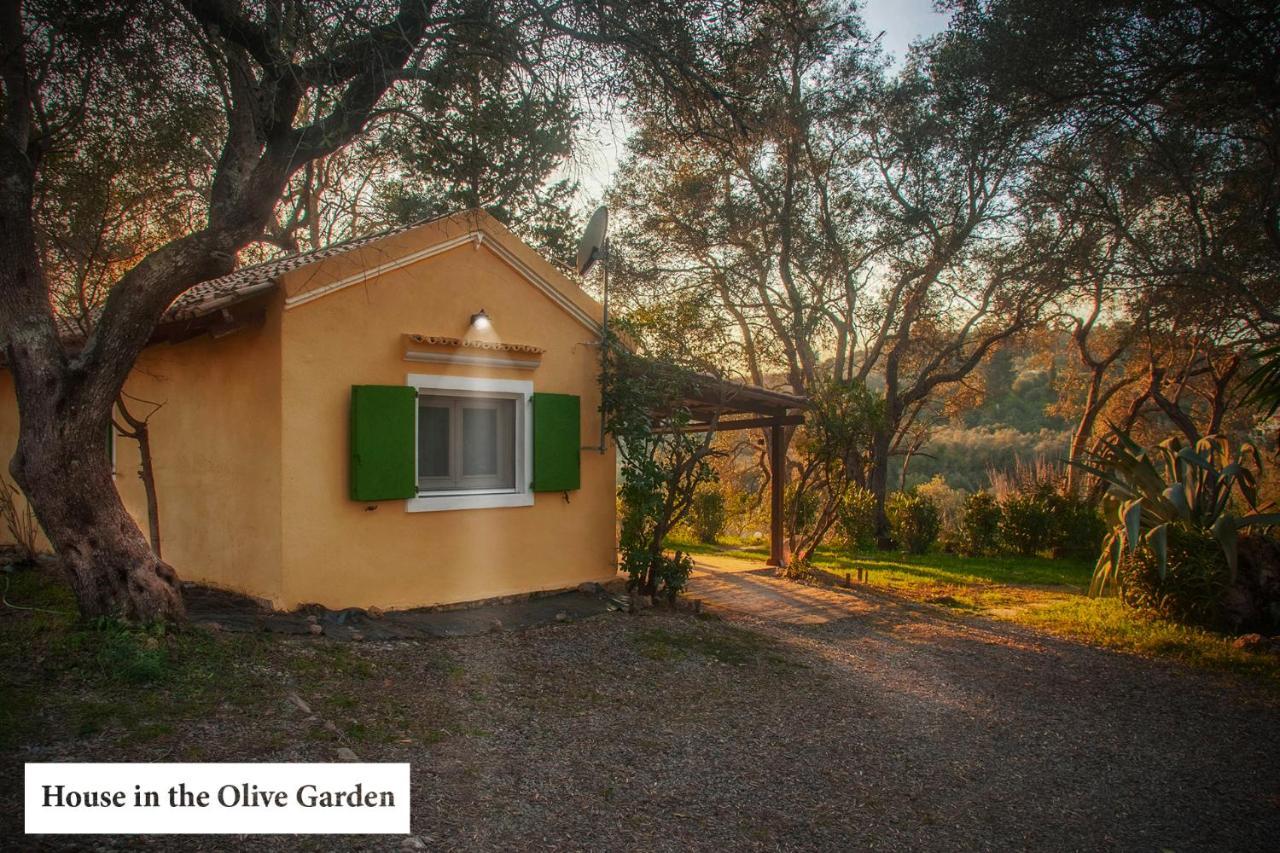 Ferienwohnung House In The Olive Garden Ágios Ioánnis Exterior foto