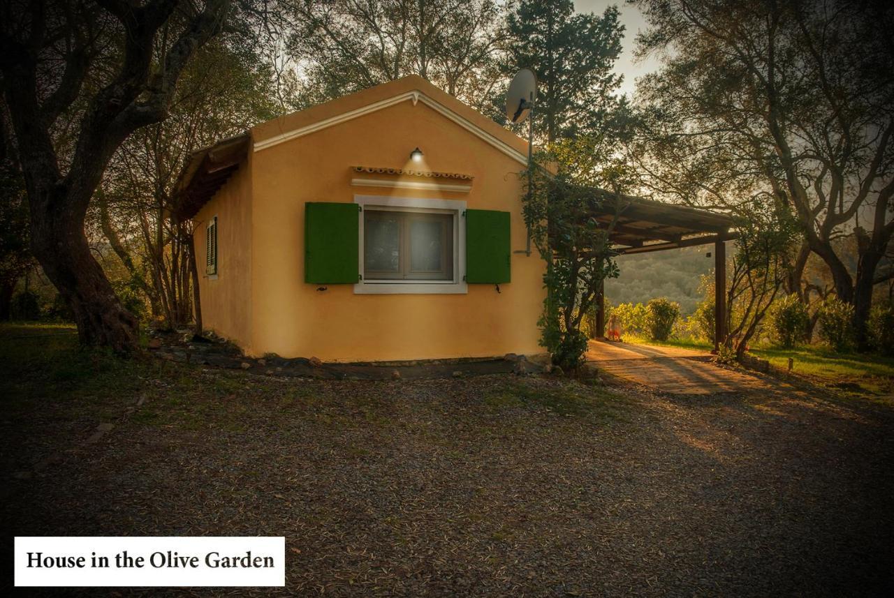 Ferienwohnung House In The Olive Garden Ágios Ioánnis Exterior foto