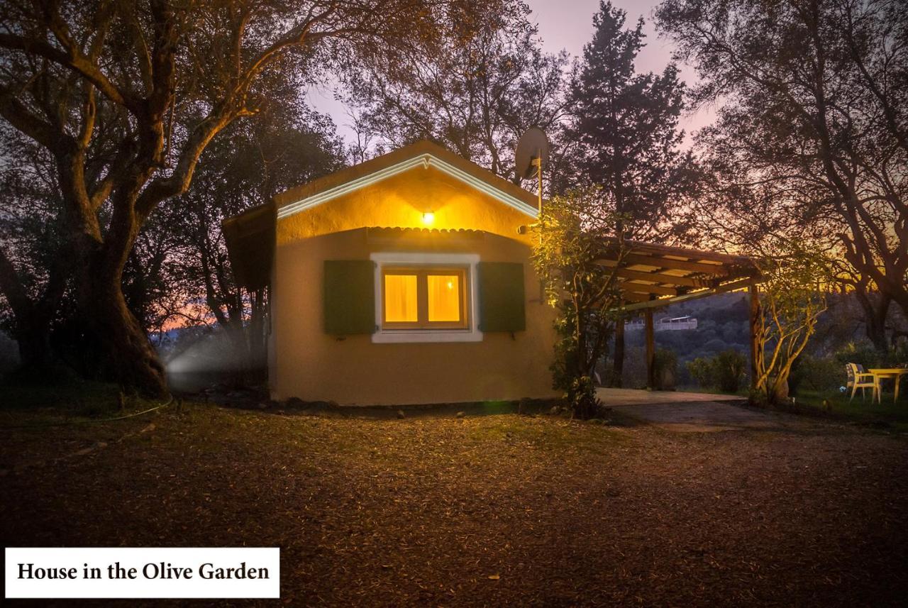 Ferienwohnung House In The Olive Garden Ágios Ioánnis Exterior foto