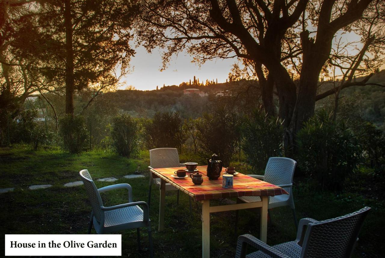 Ferienwohnung House In The Olive Garden Ágios Ioánnis Exterior foto