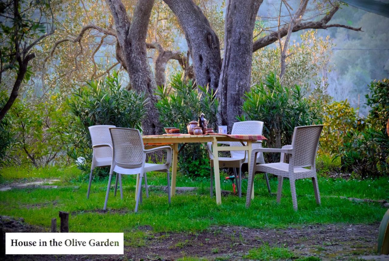 Ferienwohnung House In The Olive Garden Ágios Ioánnis Exterior foto