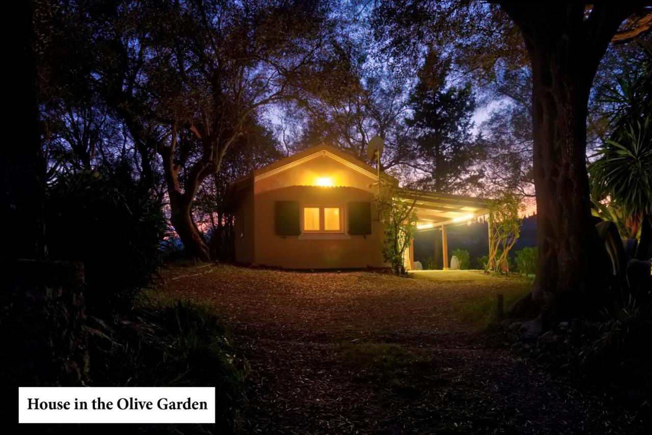 Ferienwohnung House In The Olive Garden Ágios Ioánnis Exterior foto