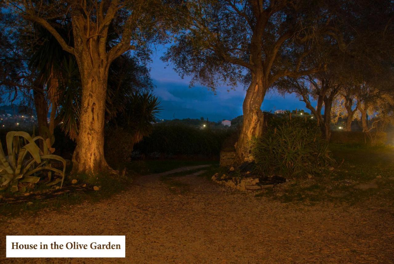 Ferienwohnung House In The Olive Garden Ágios Ioánnis Exterior foto