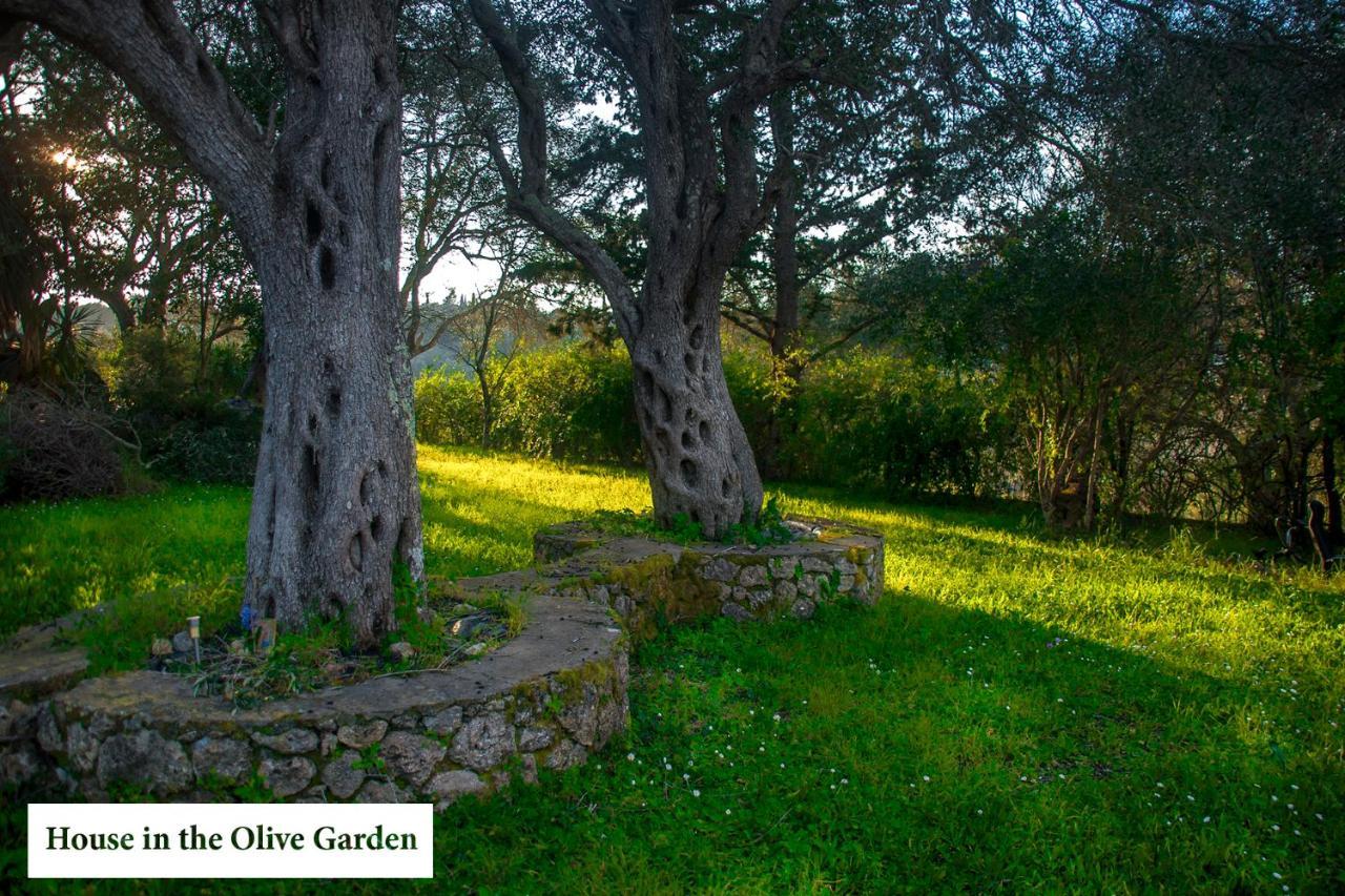 Ferienwohnung House In The Olive Garden Ágios Ioánnis Exterior foto