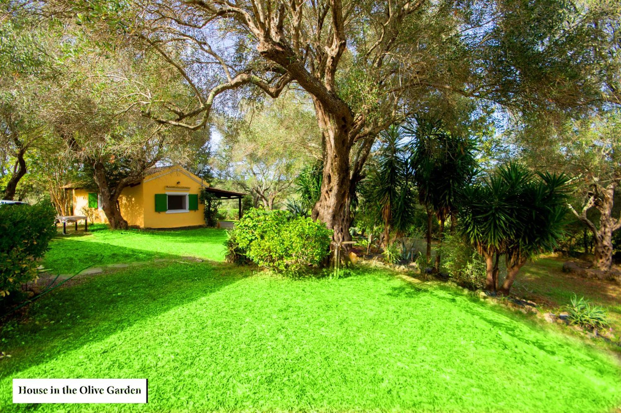 Ferienwohnung House In The Olive Garden Ágios Ioánnis Exterior foto