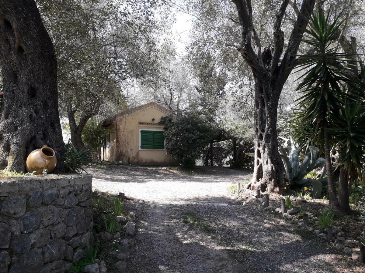 Ferienwohnung House In The Olive Garden Ágios Ioánnis Exterior foto