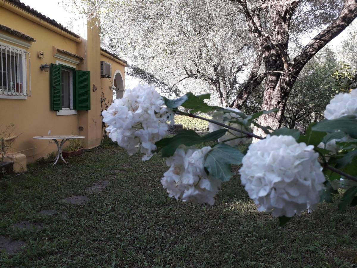 Ferienwohnung House In The Olive Garden Ágios Ioánnis Exterior foto