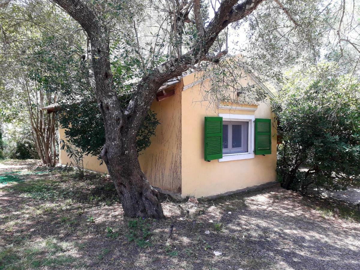 Ferienwohnung House In The Olive Garden Ágios Ioánnis Exterior foto