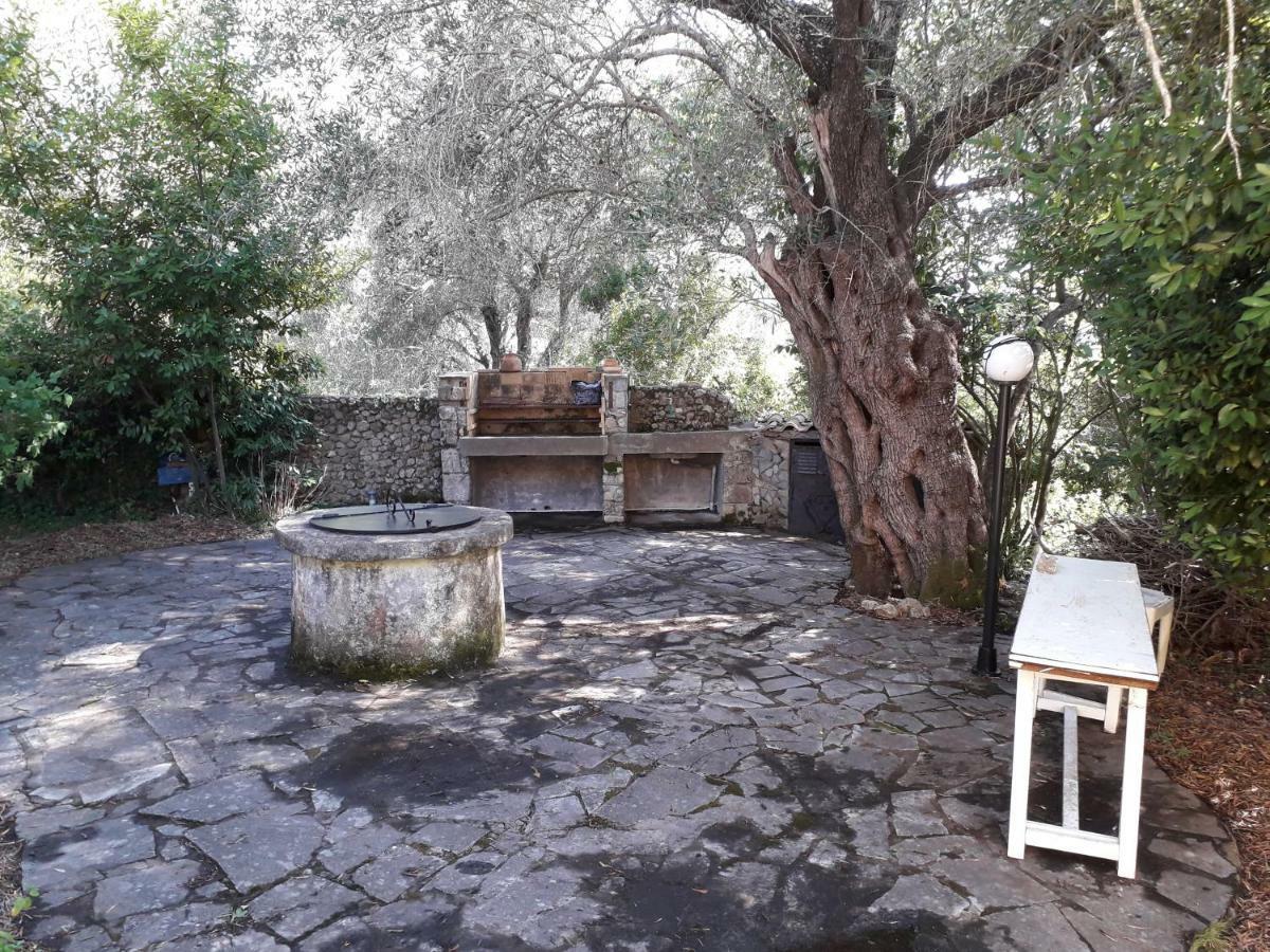 Ferienwohnung House In The Olive Garden Ágios Ioánnis Exterior foto
