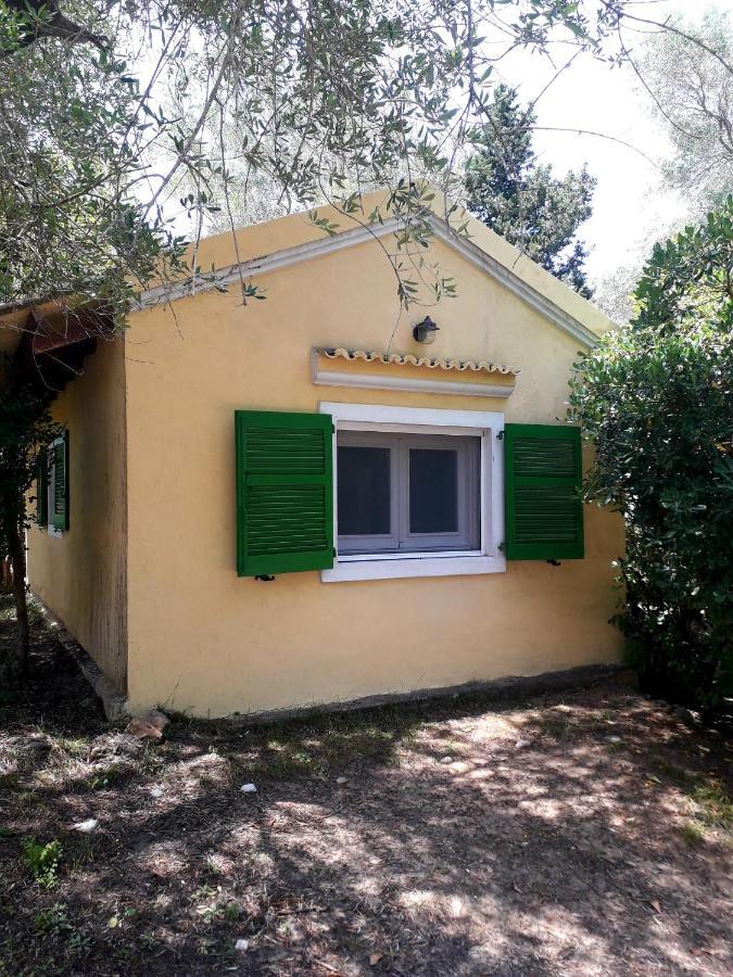 Ferienwohnung House In The Olive Garden Ágios Ioánnis Exterior foto